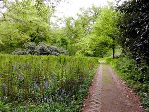 20130512.BeerveldeTuindagen 106 (Medium)