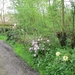 2013-05-13 Asbeek 020