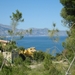 albir (8)