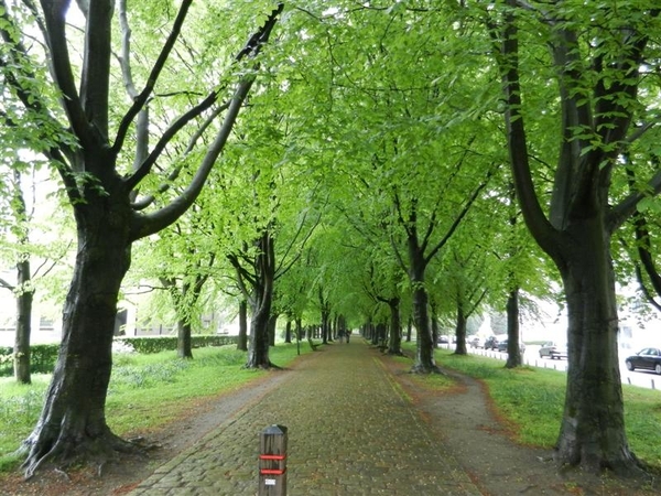 20130516.(003)Beveren 061 (Medium)