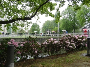 20130516.(008)Beveren 006 (Medium)