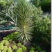 sized_P1150200