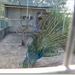 sized_P1150241