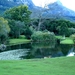 Kirstenbosch Kaapstad