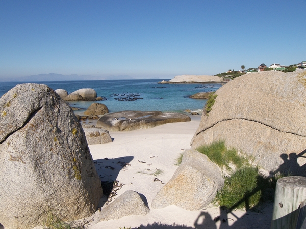 Boulder's Beach