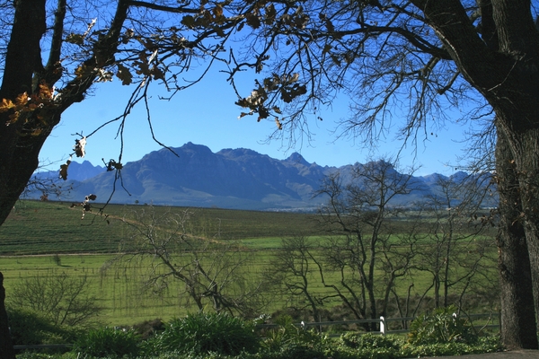 Wijnlandroute Stellenbosch-Franschhoek-Paarl