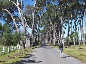 Wijnlandroute Stellenbosch-Franschhoek-Paarl