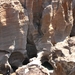 Burke's Luke Potholes