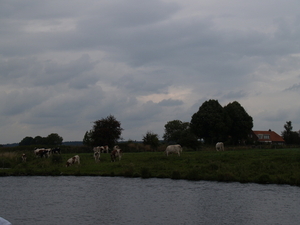 Langs de oever van de Limburgse Maas