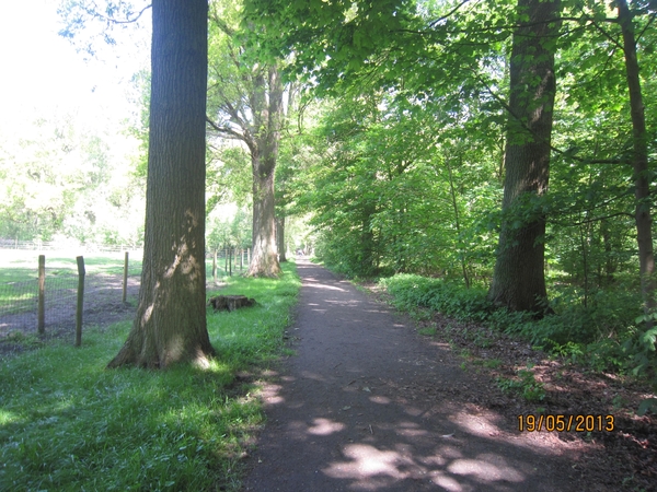 wandeling 's gravenwezel19-5-2013 007