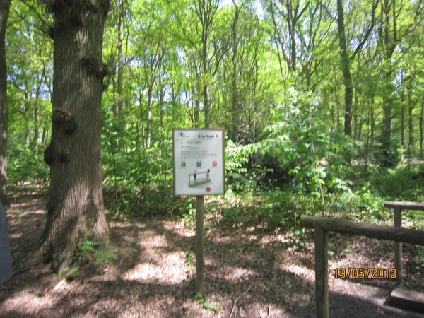 wandeling 's gravenwezel19-5-2013 008
