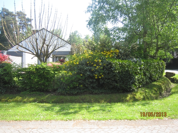 wandeling 's gravenwezel19-5-2013 010