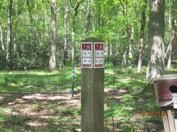 wandeling 's gravenwezel19-5-2013 017