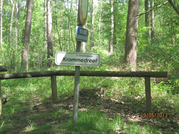wandeling 's gravenwezel19-5-2013 018