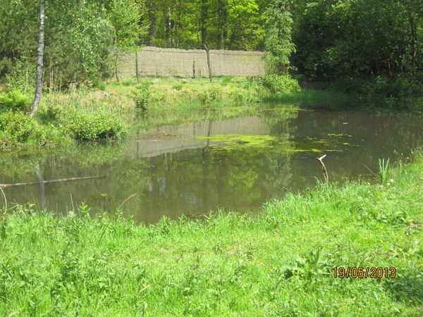 wandeling 's gravenwezel19-5-2013 021