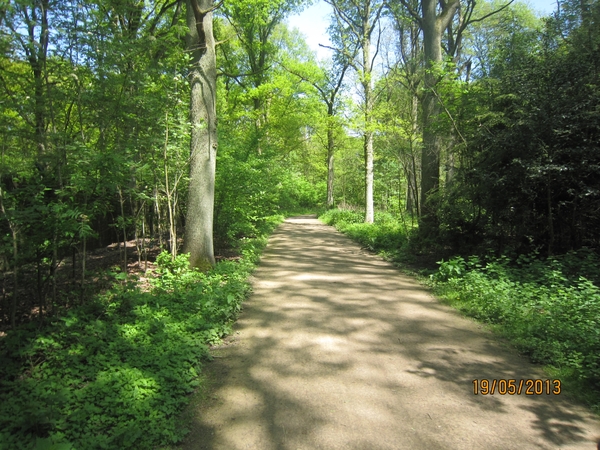 wandeling 's gravenwezel19-5-2013 022