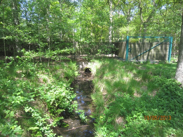 wandeling 's gravenwezel19-5-2013 023