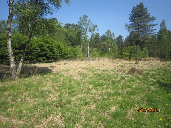 wandeling 's gravenwezel19-5-2013 024