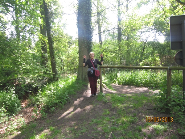 wandeling 's gravenwezel19-5-2013 047