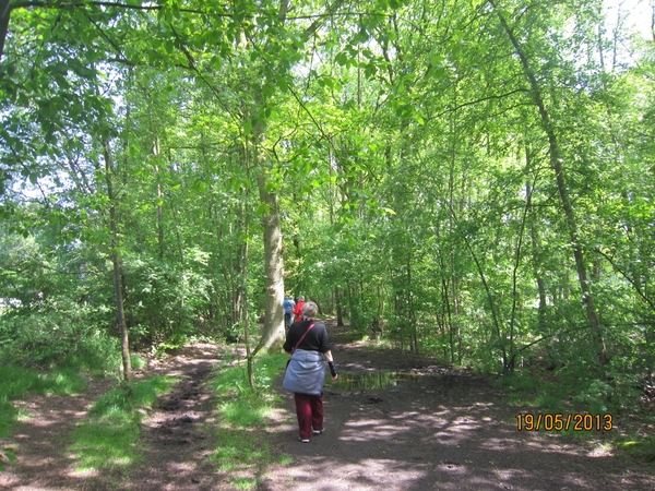 wandeling 's gravenwezel19-5-2013 050