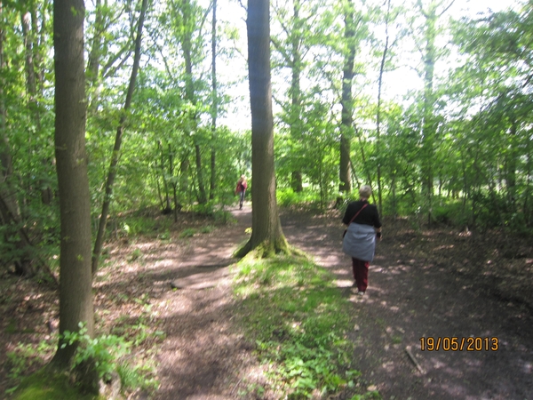 wandeling 's gravenwezel19-5-2013 051