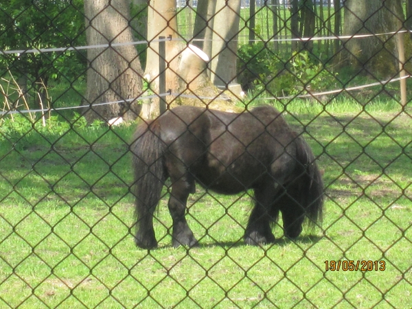wandeling 's gravenwezel19-5-2013 054