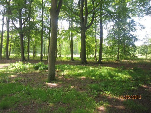 wandeling 's gravenwezel19-5-2013 057