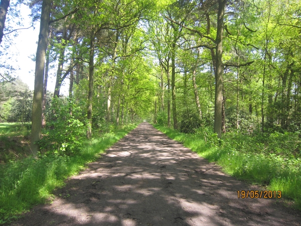 wandeling 's gravenwezel19-5-2013 059