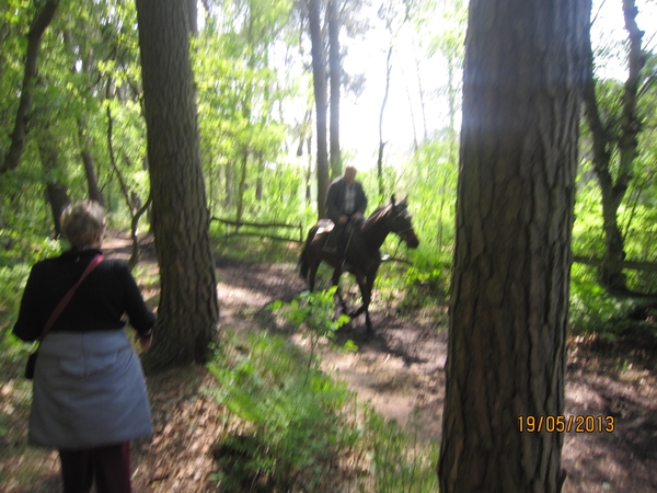 wandeling 's gravenwezel19-5-2013 061