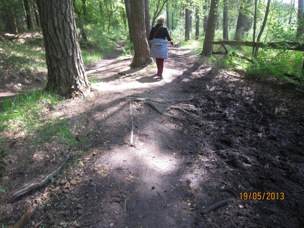 wandeling 's gravenwezel19-5-2013 062