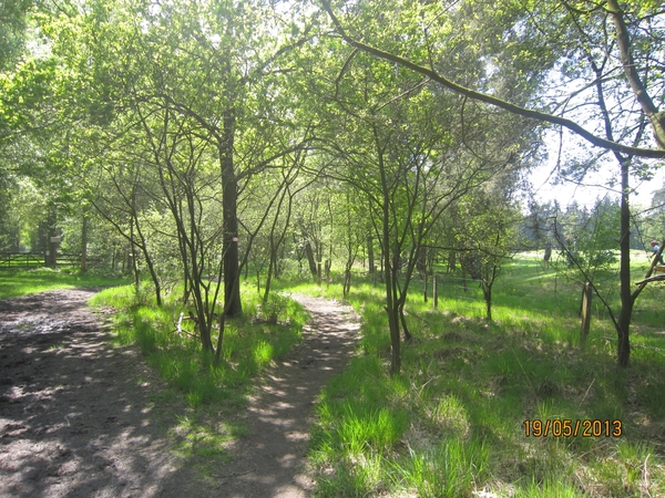 wandeling 's gravenwezel19-5-2013 063