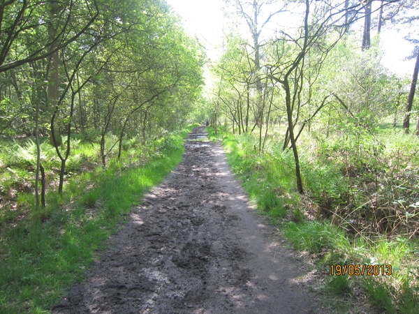 wandeling 's gravenwezel19-5-2013 064