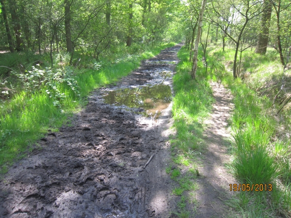 wandeling 's gravenwezel19-5-2013 065