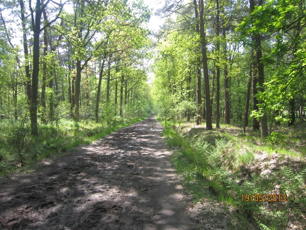 wandeling 's gravenwezel19-5-2013 066
