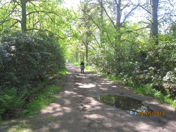 wandeling 's gravenwezel19-5-2013 068