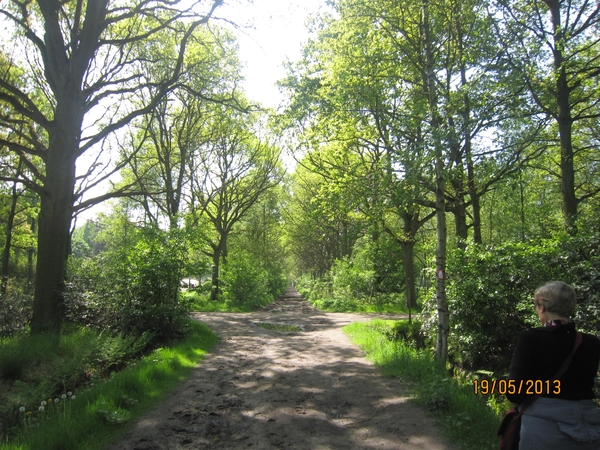 wandeling 's gravenwezel19-5-2013 069