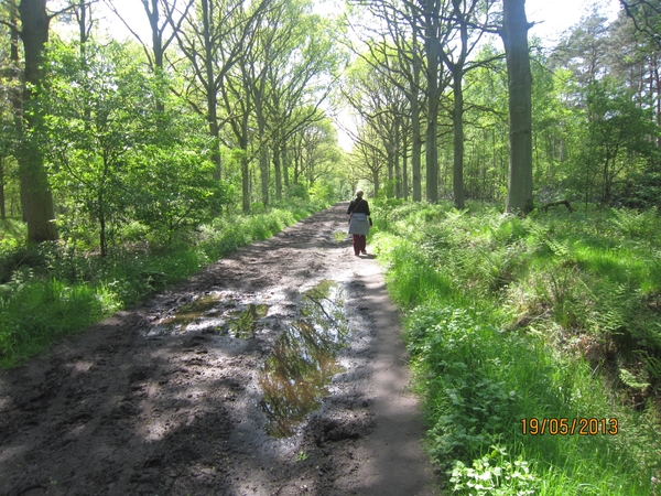 wandeling 's gravenwezel19-5-2013 070