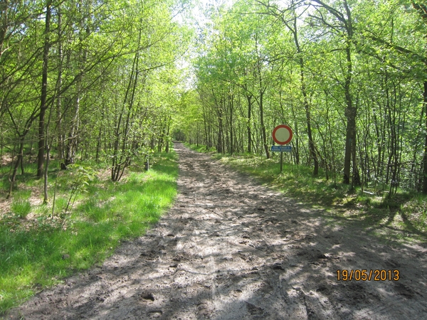 wandeling 's gravenwezel19-5-2013 071