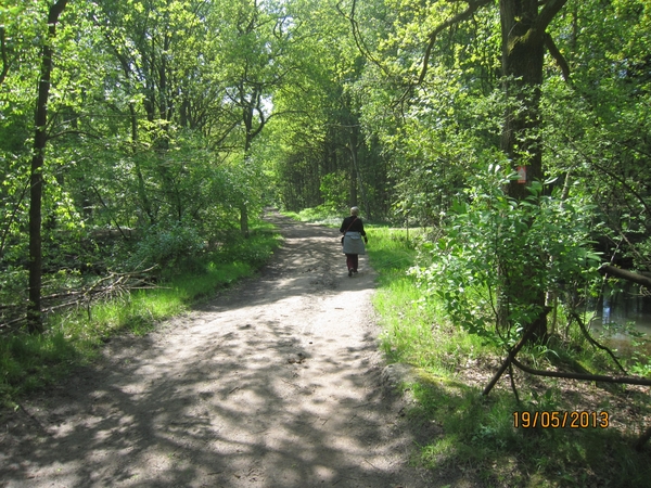 wandeling 's gravenwezel19-5-2013 073