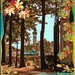 project-185-herfst-voor-web