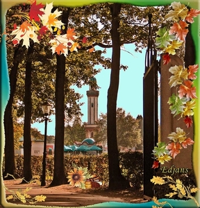 project-185-herfst-voor-web
