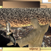 project-194-voor-web-1