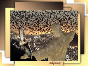 project-194-voor-web-1