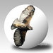 project-194-voor-web-3