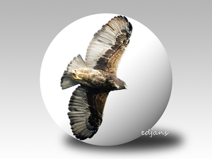 project-194-voor-web-3