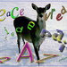 project-198-vrede-voor-web