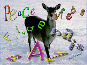 project-198-vrede-voor-web