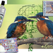 project-205-IJsvogel_web