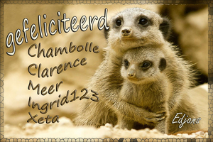 wenskaart-jarigen-week-33-2012