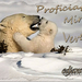 wenskaart-jarigen-week-35-2012-voor-web